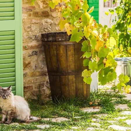 Il Colle Sulla Flaminia Vila Massa Martana Exterior foto