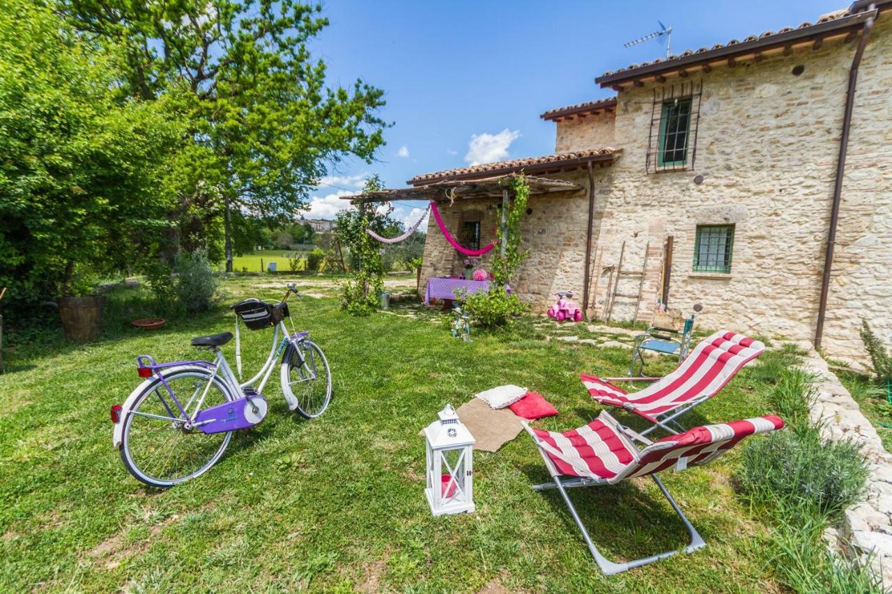Il Colle Sulla Flaminia Holiday home *